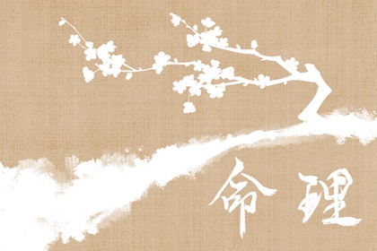 星尘算命紫微斗数 流年紫微排盘 天天命盘 问真紫微斗数排盘 本命盘免费查询 十二宫查询