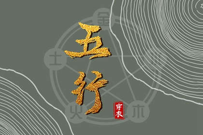 真命八字_知运八字_易百查排盘八字_六爻卦象全解